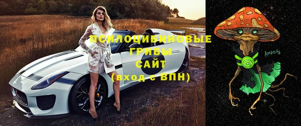 ПСИЛОЦИБИНОВЫЕ ГРИБЫ Армянск