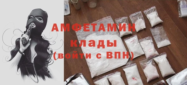 стаф Алзамай