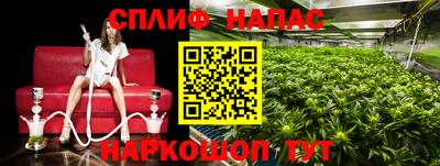 a pvp Новокубанск
