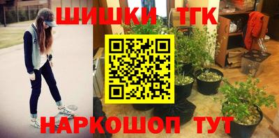 стафф Новодвинск
