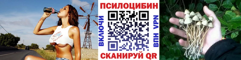 где можно купить   Туймазы  Псилоцибиновые грибы Magic Shrooms 