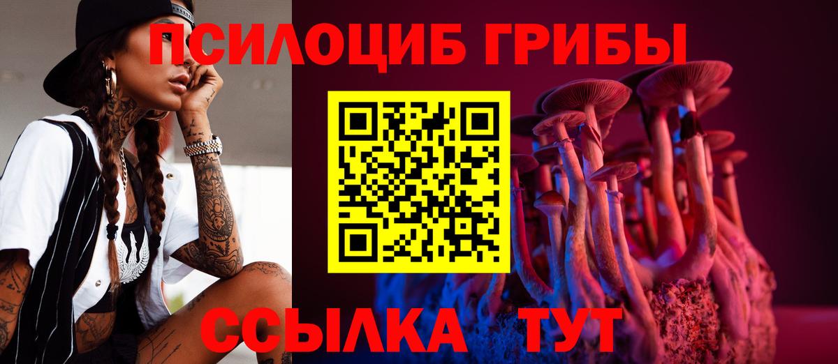 хочу   Псилоцибиновые грибы MAGIC MUSHROOMS  Вход с VPN  Туймазы 