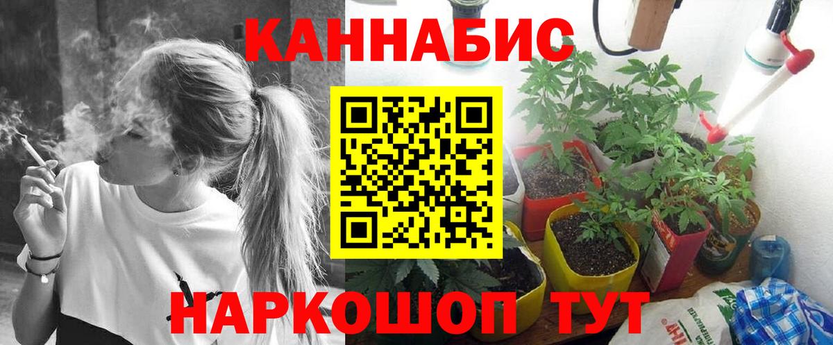 Бошки марихуана сатива  Вход с VPN  Бошки марихуана ГИДРОПОН  Бошки марихуана VHQ  Туймазы 